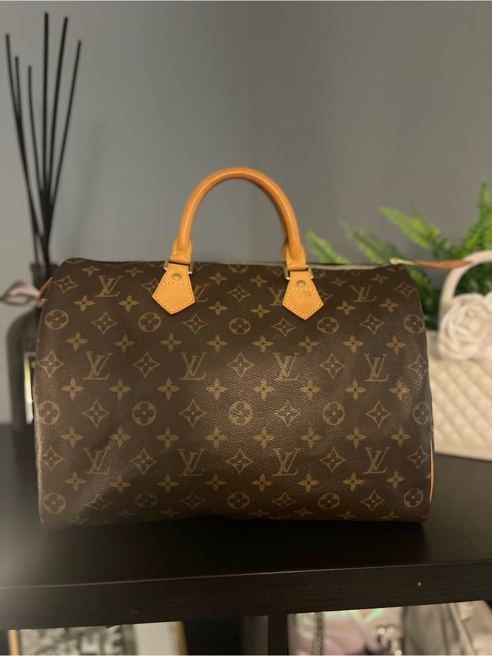 Louis Vuitton Monogram Speedy 35